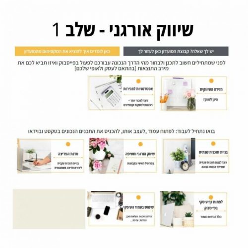 שיווק אורגני למתחילים